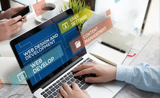 Business website development