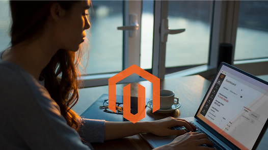 Custom Magento development solutions by expert developers in India