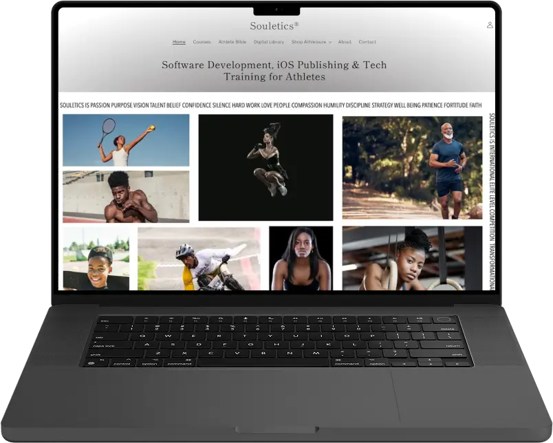 Souletics project portfolio by Web Nautical in India