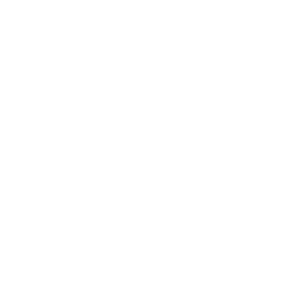 survey
