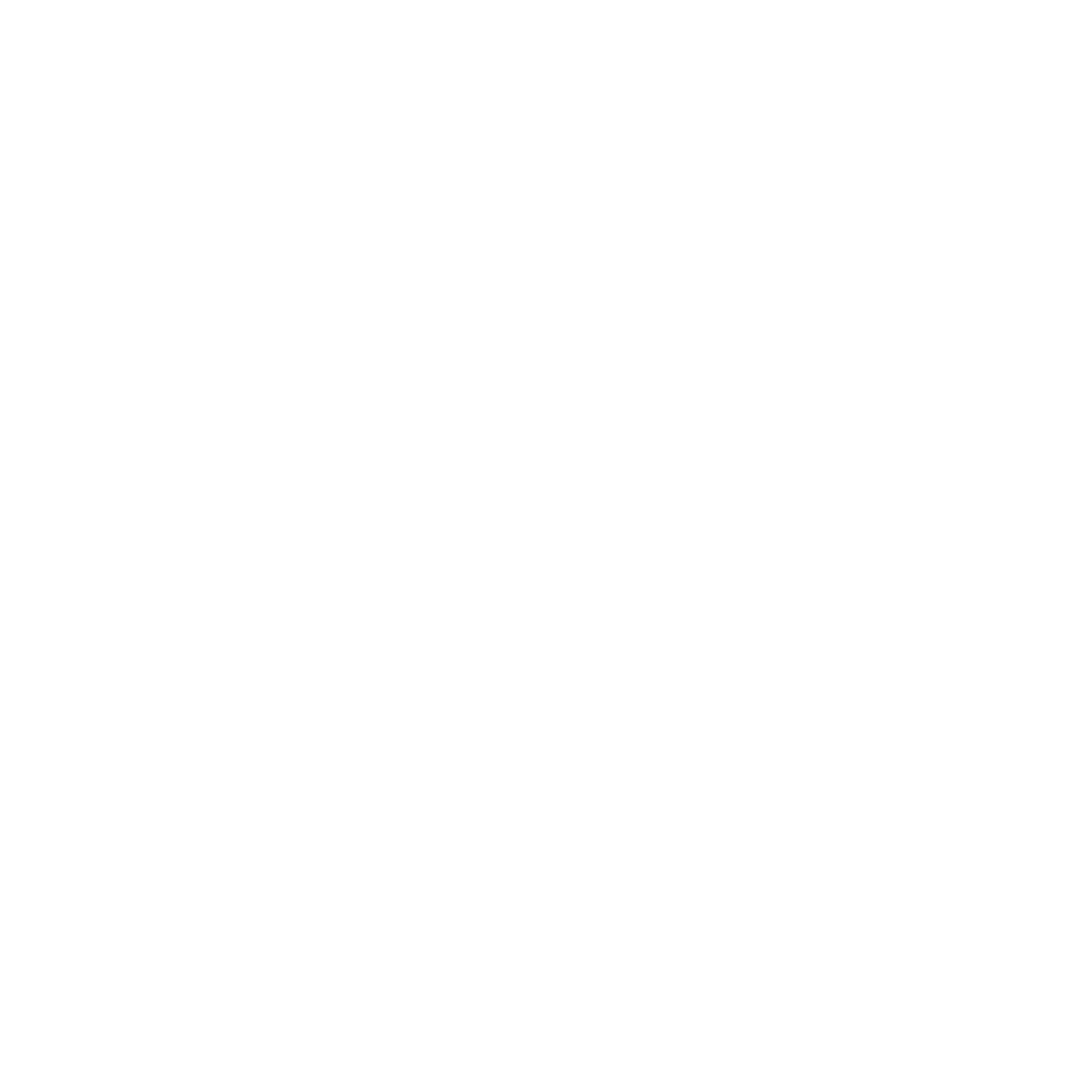 Client Icon