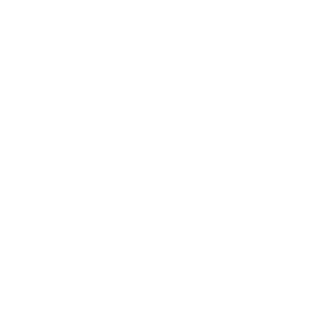 Client Icon