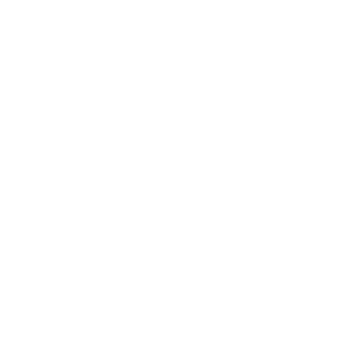 Client Icon